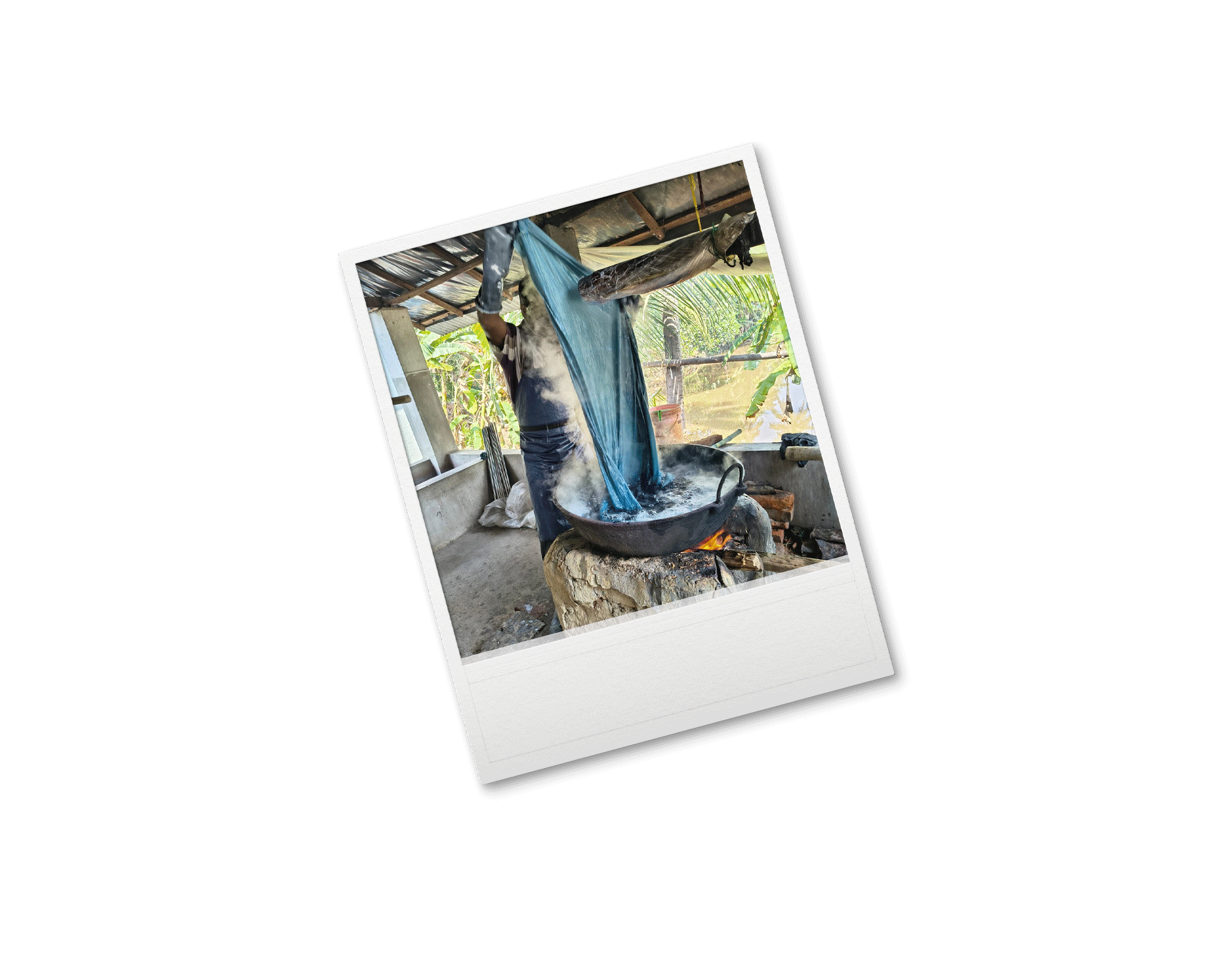 India_Polaroids_REV6.gif